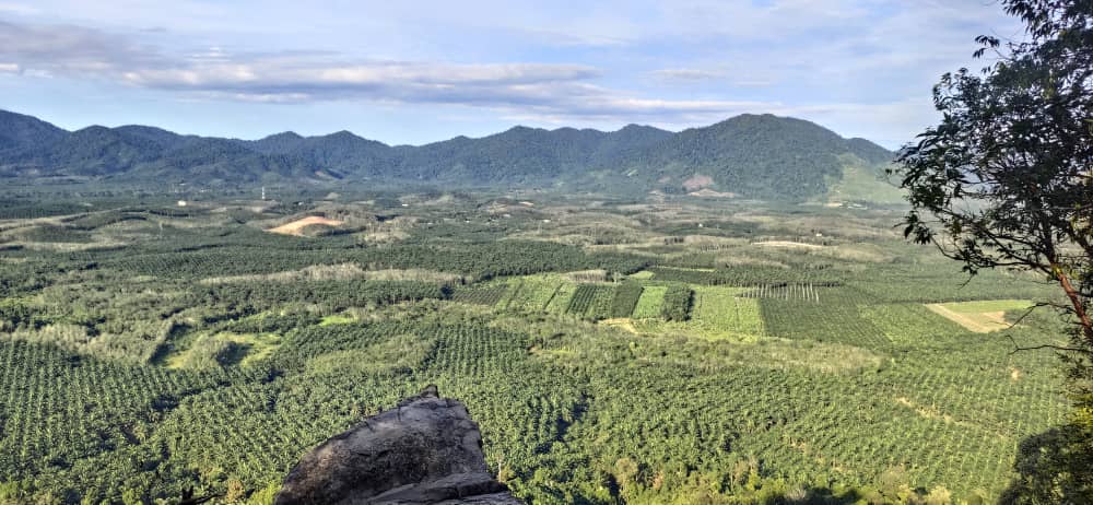 WhatsApp-Image-2020-10-12-at-11.25.52-AM